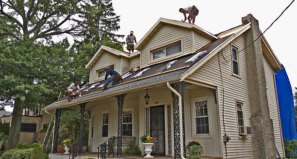 Best Shingle Roofing Installation  in Agency Village, SD