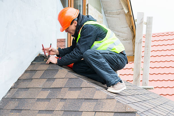 Best Metal Roofing Contractor  in Agency Village, SD